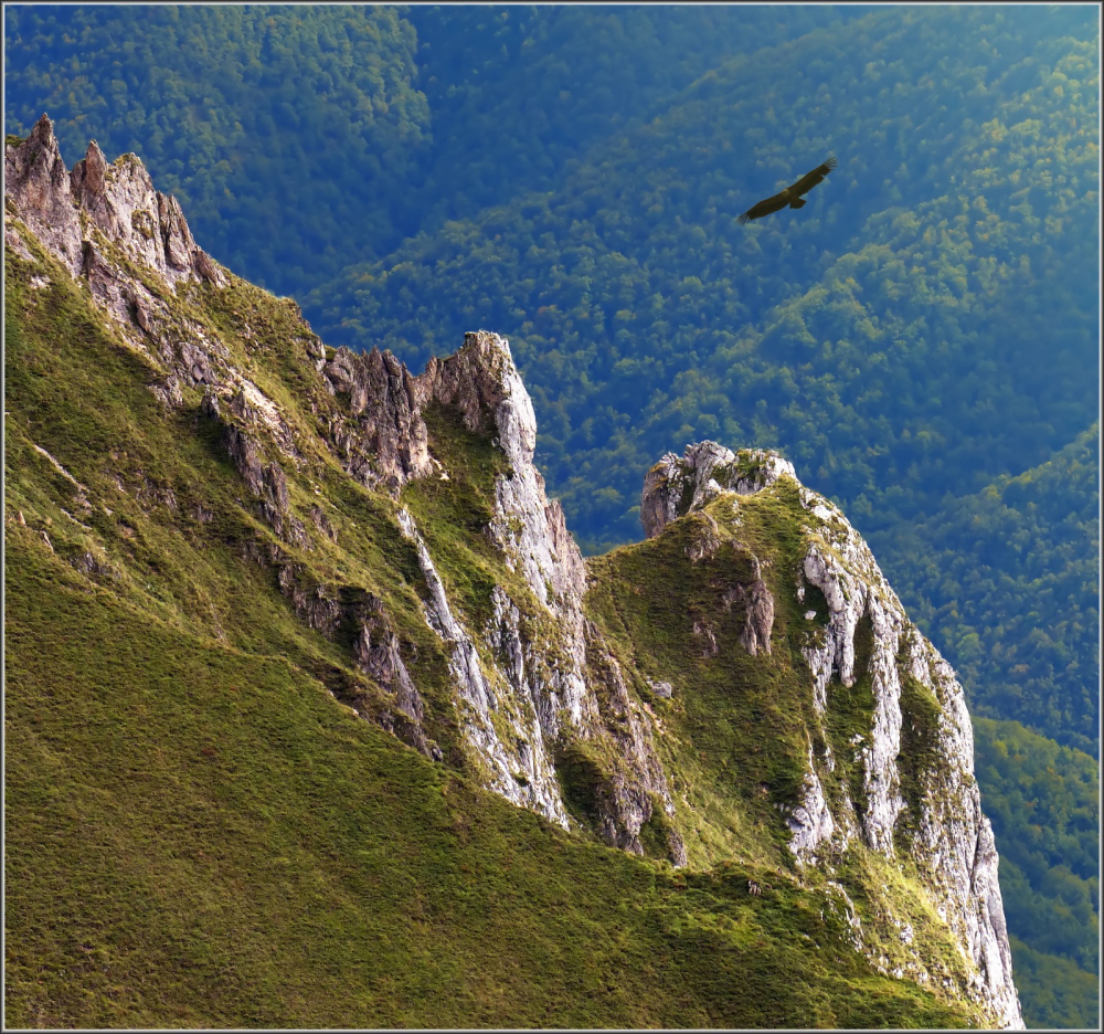 Sharp Crag Soaring